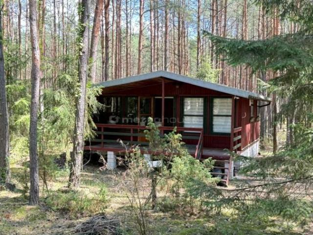 Jeżowa 1 433 m², Łosie