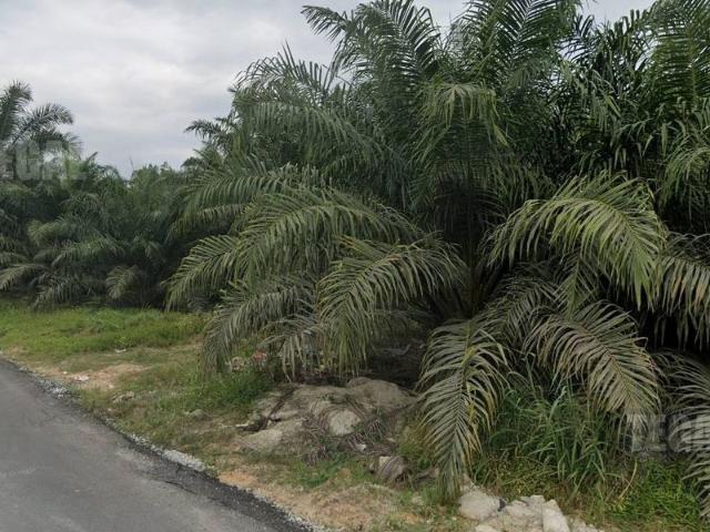 Jenjarom Industrial Park