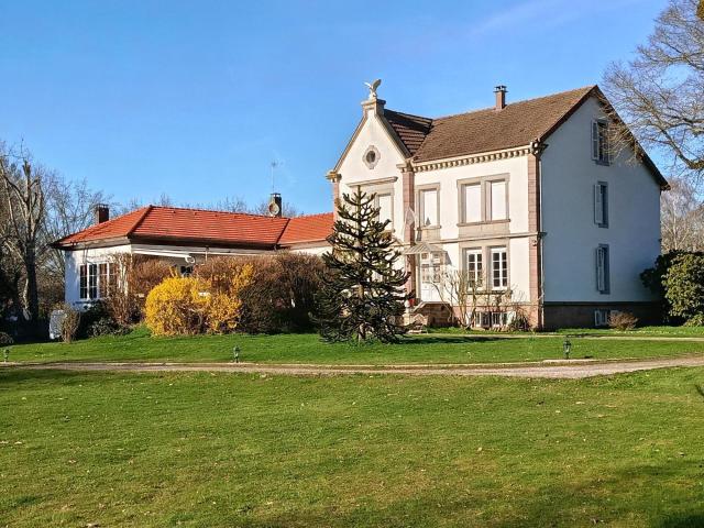 Jeanménil Vente Maison 88