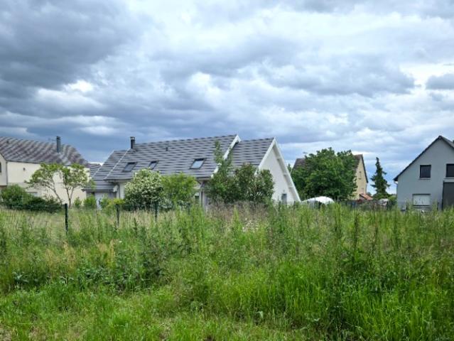 Jebsheim Vente Terrain 68