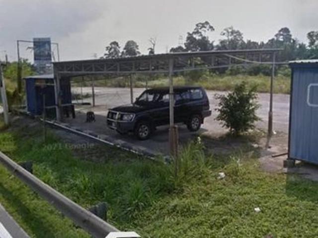 Jelutong