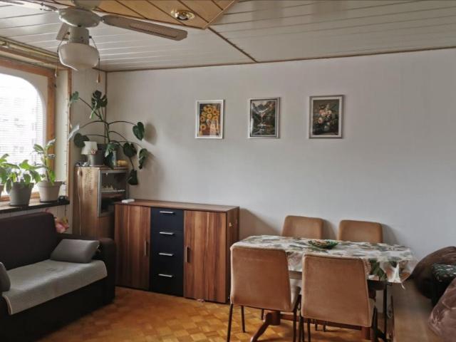 Jelcz Laskowice, Ludwika Hirszfelda, 65 m2