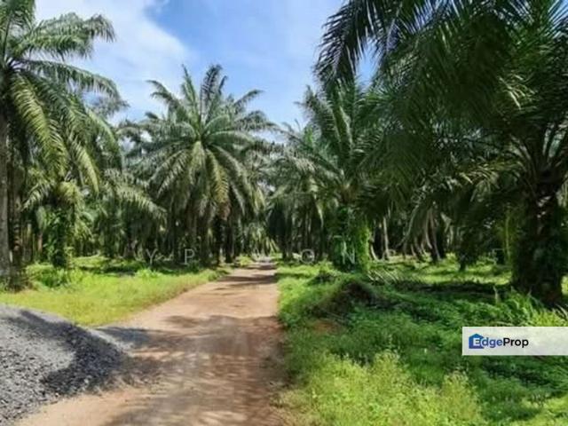 Jelebu