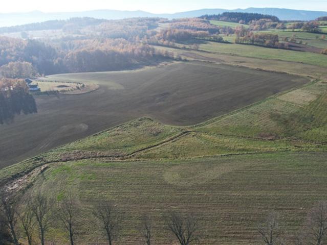 Jelenia Góra, Goduszyn