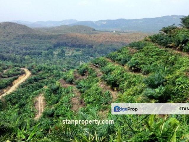 Jerantut Land