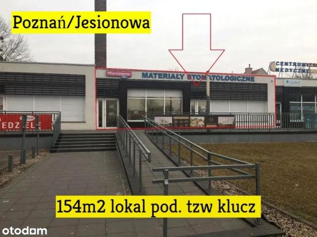 Jesionowa 145 m², Poznań