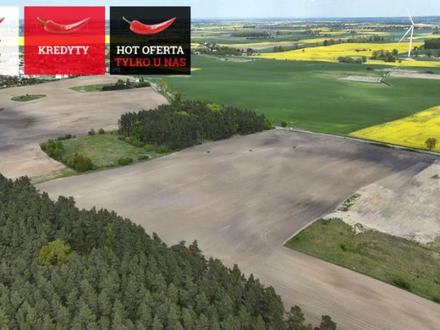 Jesionowa 92 700 m², Rajkowy
