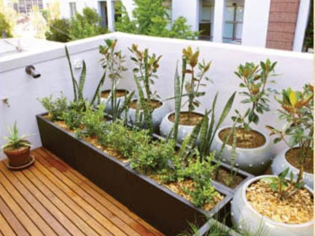 South Dum Dum 2 BHK Apartment For Sale Kolkata