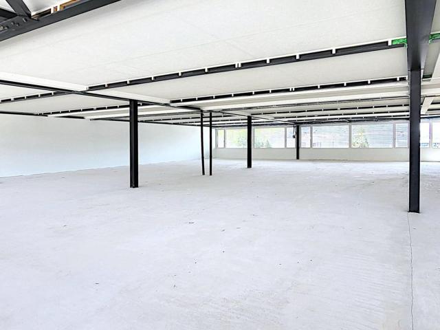 Jetzt auch ab 240 m2 ebenerdige Gewerbeflächen in Root!