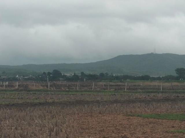 Jewar, Yamuna Expressway 1500 Sq.Ft. Plot in Jewar Greater Noida Listing ID: #10187
