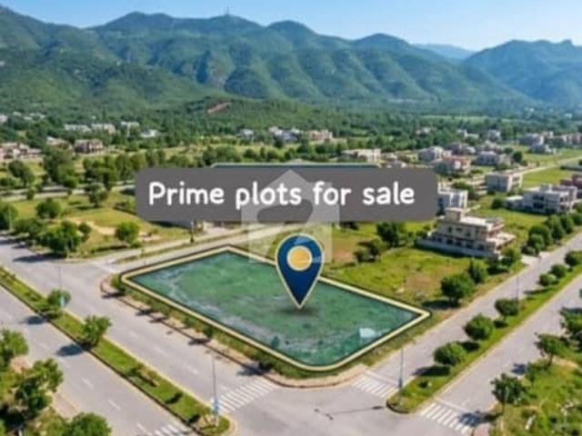 Jheel Road Plots For Sale On Invstor Price