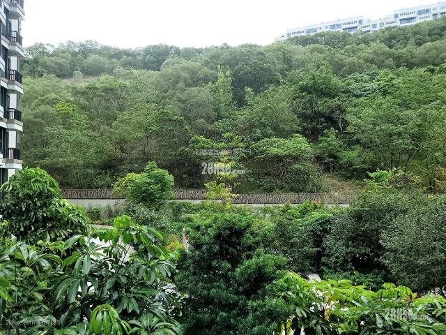 玖瓏山 #3871 售盤樓盤詳細資料