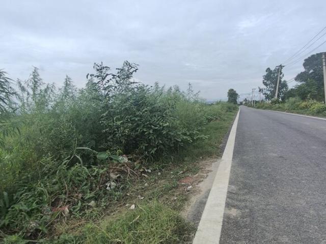 Jim Corbett Ramnagar Dhela Road Commercial Land 756 Sq. Yd. in Ramnagar Nainital Listing ID: #10096