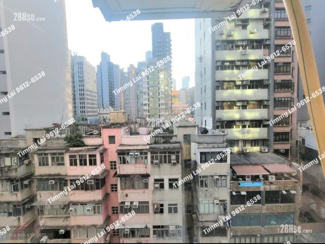 名鑄 #3801 租盤樓盤詳細資料