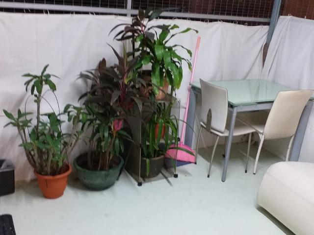 近中大村屋有清靜光猛房出租，合女士