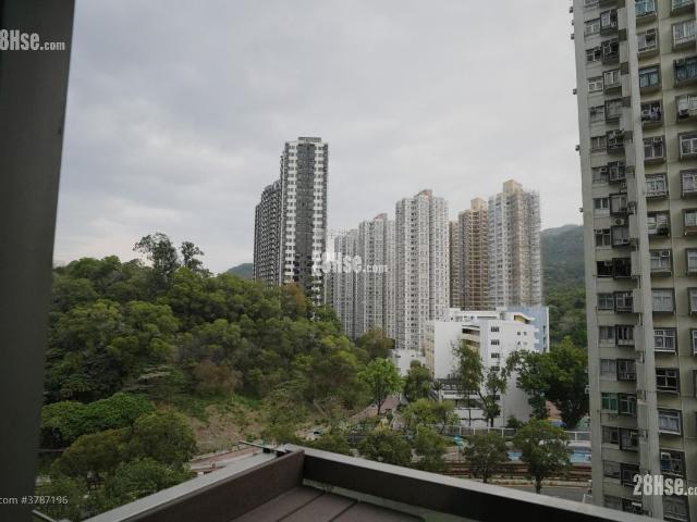 新墟村 #3787 租盤樓盤詳細資料
