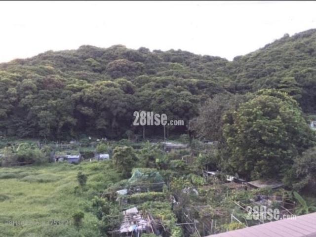 井欄樹村 #3753 租盤樓盤詳細資料