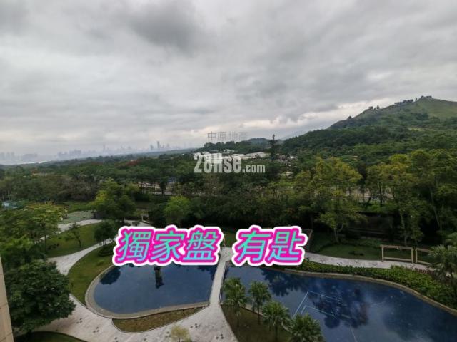 嘉湖山莊 #3842 售盤樓盤詳細資料