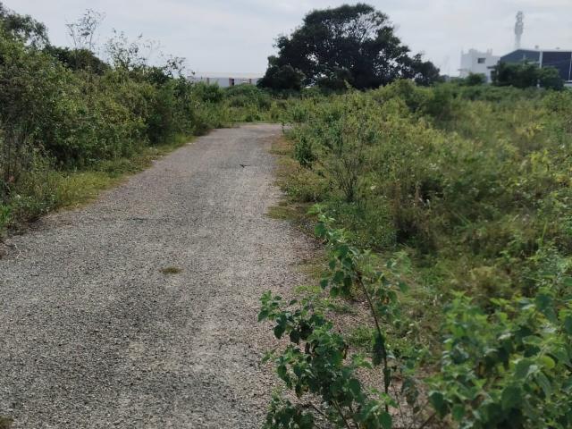 Jigani, South Bangalore 1200 Sq.Ft. Plot in Jigani Bangalore Listing ID: #10327
