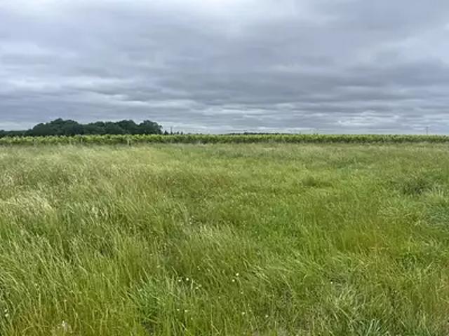 Jonzac 17500 Programme neuf terrain neuf à vendre