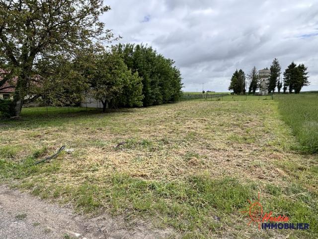 Jonchery sur Suippe Vente Terrain 51