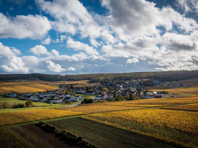Jonchery sur Vesle Vente Terrain 51