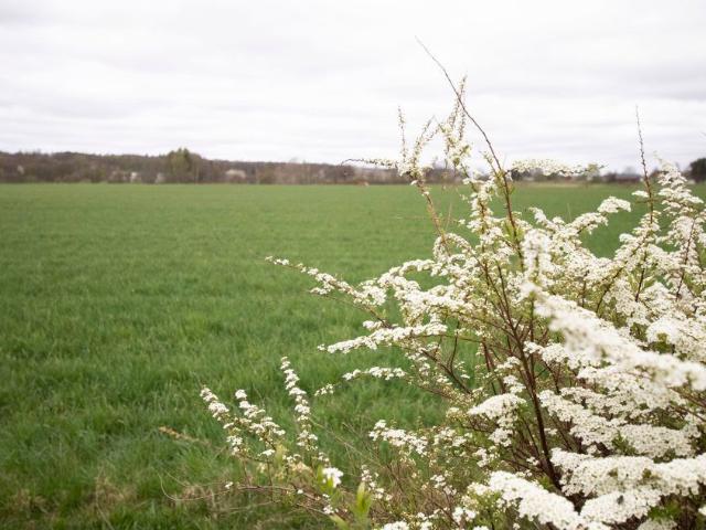 Jöns Karls väg 1 B, Näsum