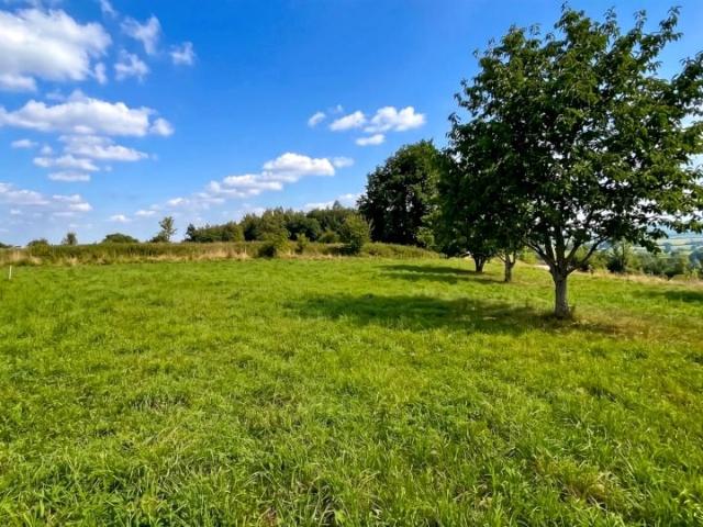 Jodłowa 1 200 m², Rząska