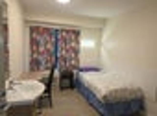 Johnsonville, 1 bedroom, $245 pw