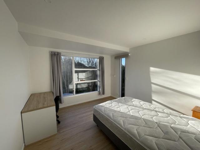 Johnsonville, 6+ bedrooms