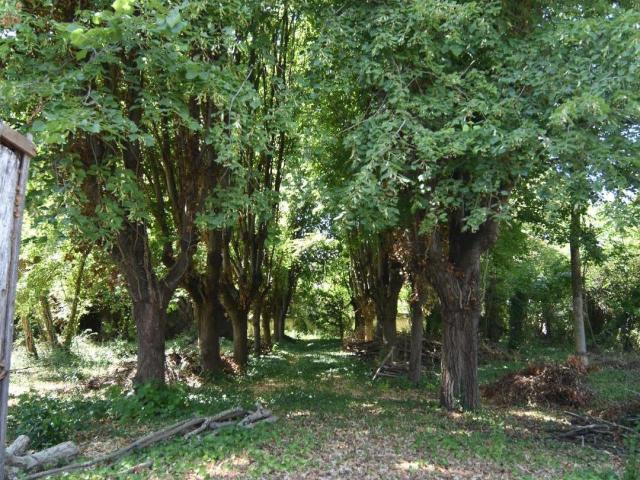 Joigny Vente Terrain 89