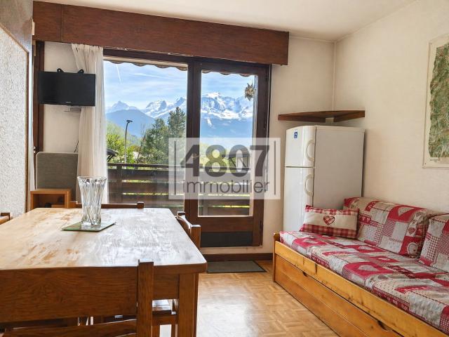 Joli appartement, avec vue mont Blanc