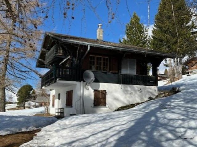 Joli chalet de deux appartements en PPE