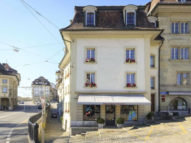 Joli studio au coeur de Fribourg avec cachet! Dreamo. Ch