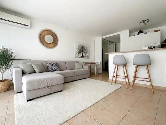 Joli Studio Cannes Palm Beach !