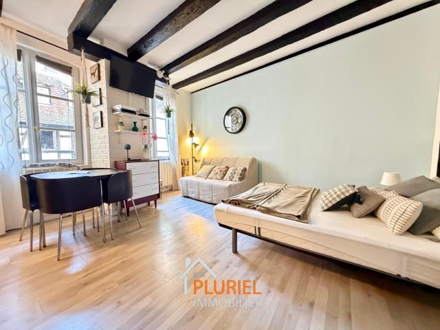 Joli studio quai des Bateliers à Strasbourg