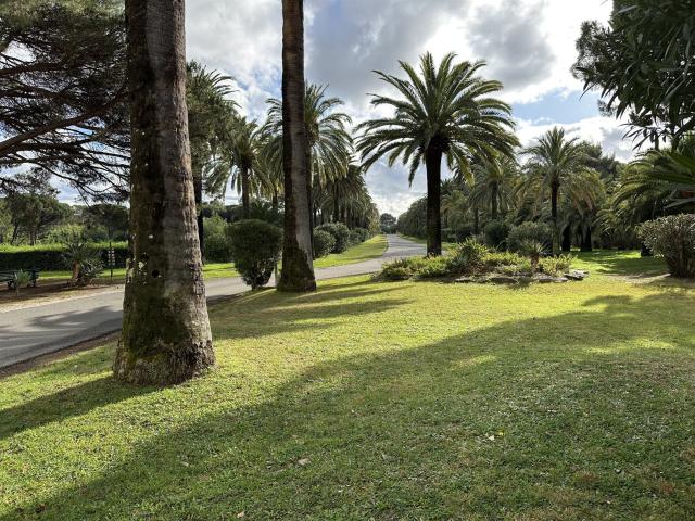 Joli T3 Dans Residence Exceptionnelle 60m² Cavalaire sur Mer