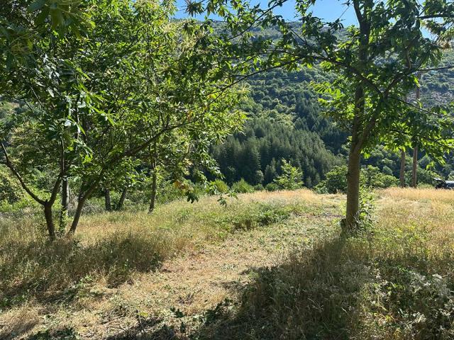 Joli terrain 957 m2 avec vue montagne