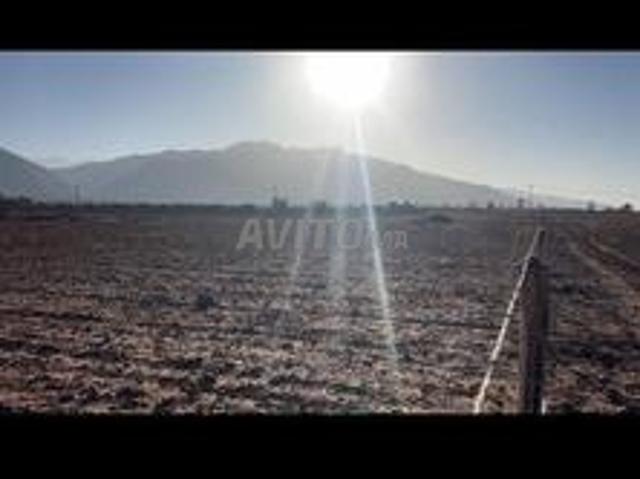 Joli terrain au godrons avec une vue de montagne
