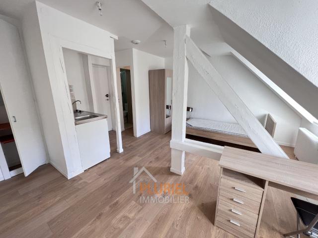 Joli 1 pièce 19.7m2 meublé Quartier des Musiciens