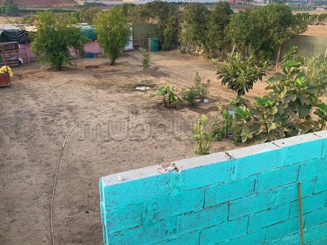 Jolie ferme à vendre à Aïn Harrouda. Surface de 2500 m²