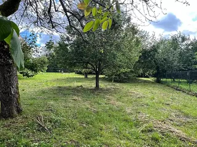 Jouy le Châtel 77970 Achat / Vente terrain