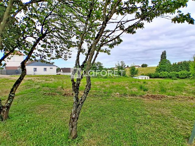 Joudes Vente Terrain 71
