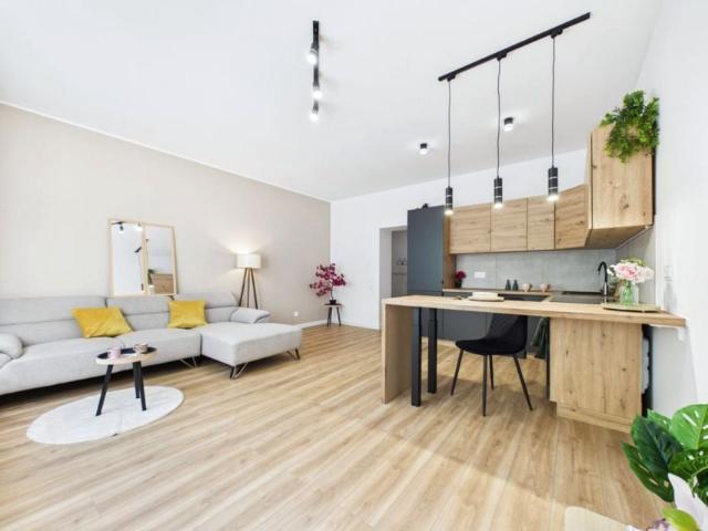 Józefa Gallusa 50 m², Katowice