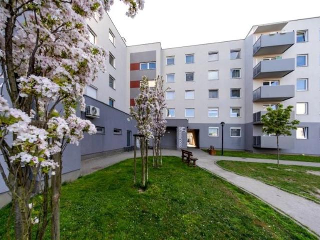 Józefa Maksymiliana Ossolińskiego 55,23 m², Brzeg Dolny