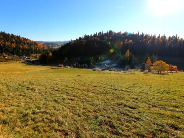 Józefa Wiśmierskiego 2 825 m², Łapsze Niżne