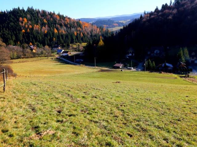 Józefa Wiśmierskiego 2 825 m², Łapsze Niżne