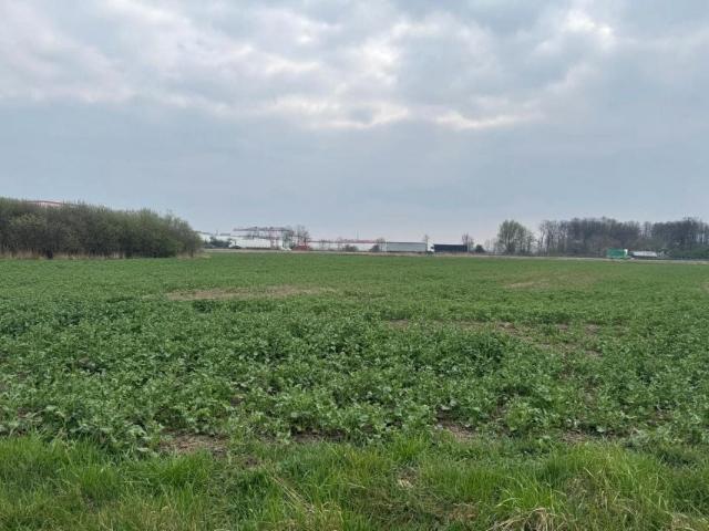 Józefa Wymysłowskiego 9 220 m², Nowa Wieś Wrocławska