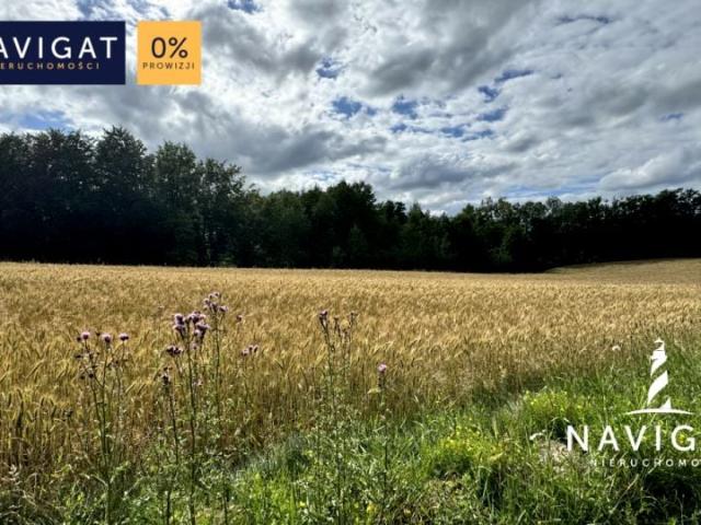 Józefa Tredera 2 058 m², Kielno
