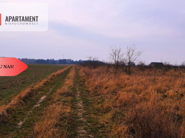 Przestronna działka 5000 m² z warunkami zabudowy